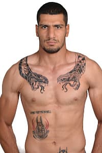 Mehdi Saremi