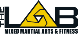 MMA Lab logo