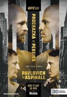 UFC 295: Prochazka vs. Pereira poster